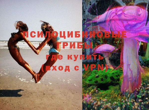 ALPHA PVP Богданович