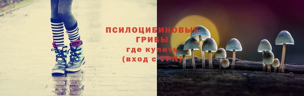 ALPHA PVP Богданович