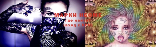 индика Беломорск